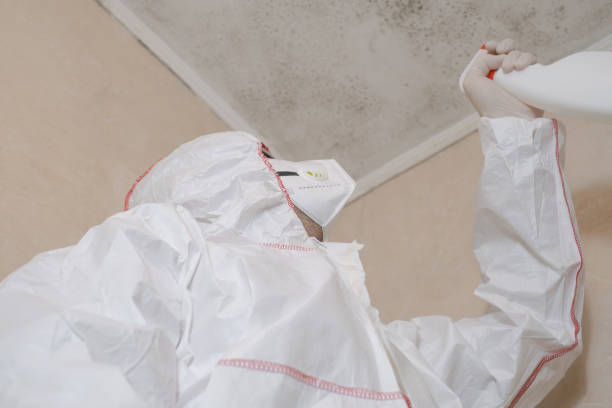Best Residential Mold Remediation in Glennville, GA