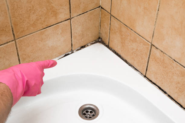 Best Industrial Mold Remediation in Glennville, GA